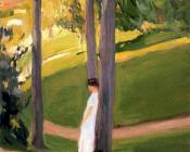 华金索罗利亚巴斯蒂达 - San Sebastian landscape